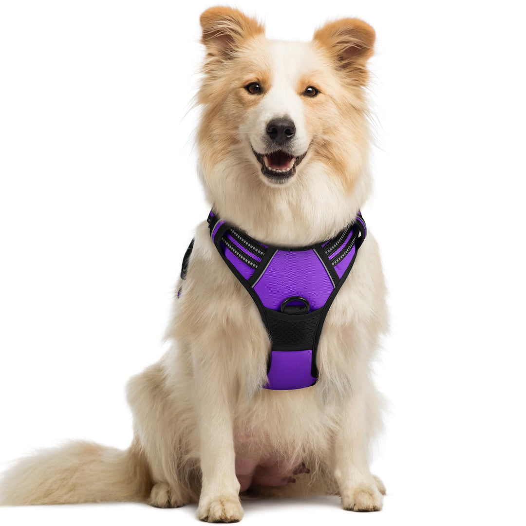 rabbitgoo Hundegeschirr Mittelgrosse Hunde, Anti Zug Geschirr mit Kontrolle, No Pull Verstellbar Hun