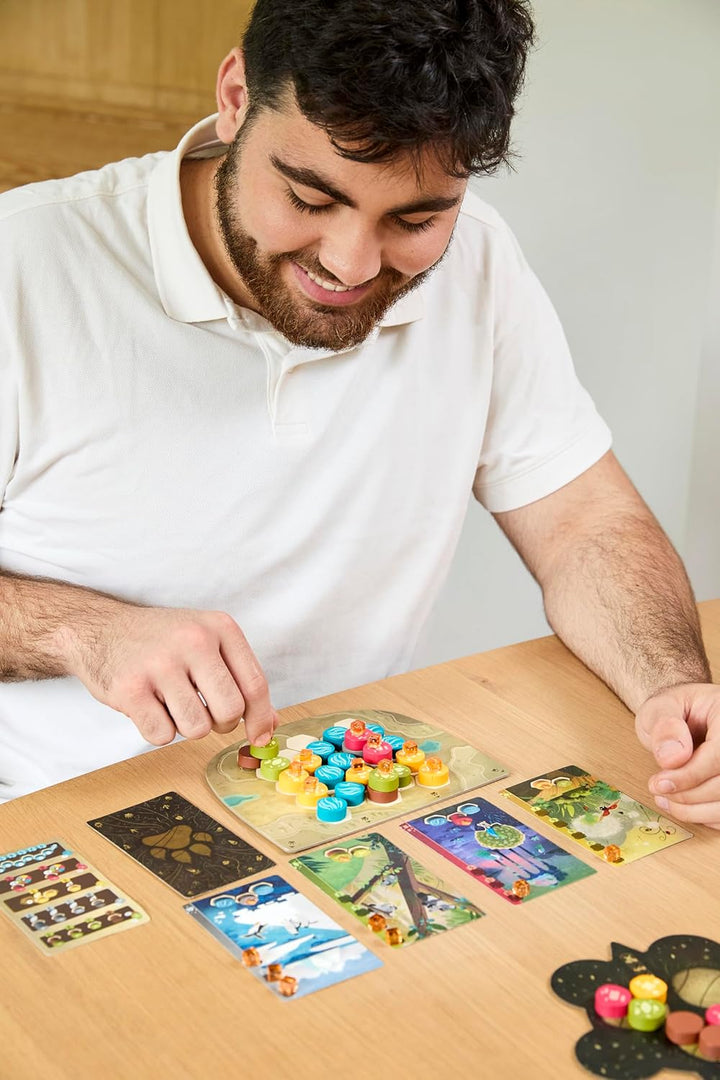 Libellud, Harmonies, Familienspiel, Legespiel, 1-4 Spieler, Ab 10+ Jahren, 30 Minuten, Deutsch