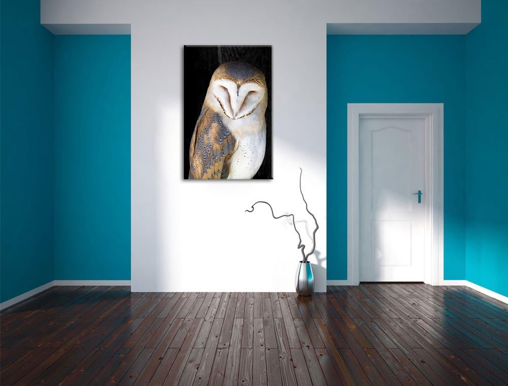 Schleiereule Schwarz/Weiss, Format: 100x70 auf Leinwand, XXL riesige Bilder fertig gerahmt mit Keilr