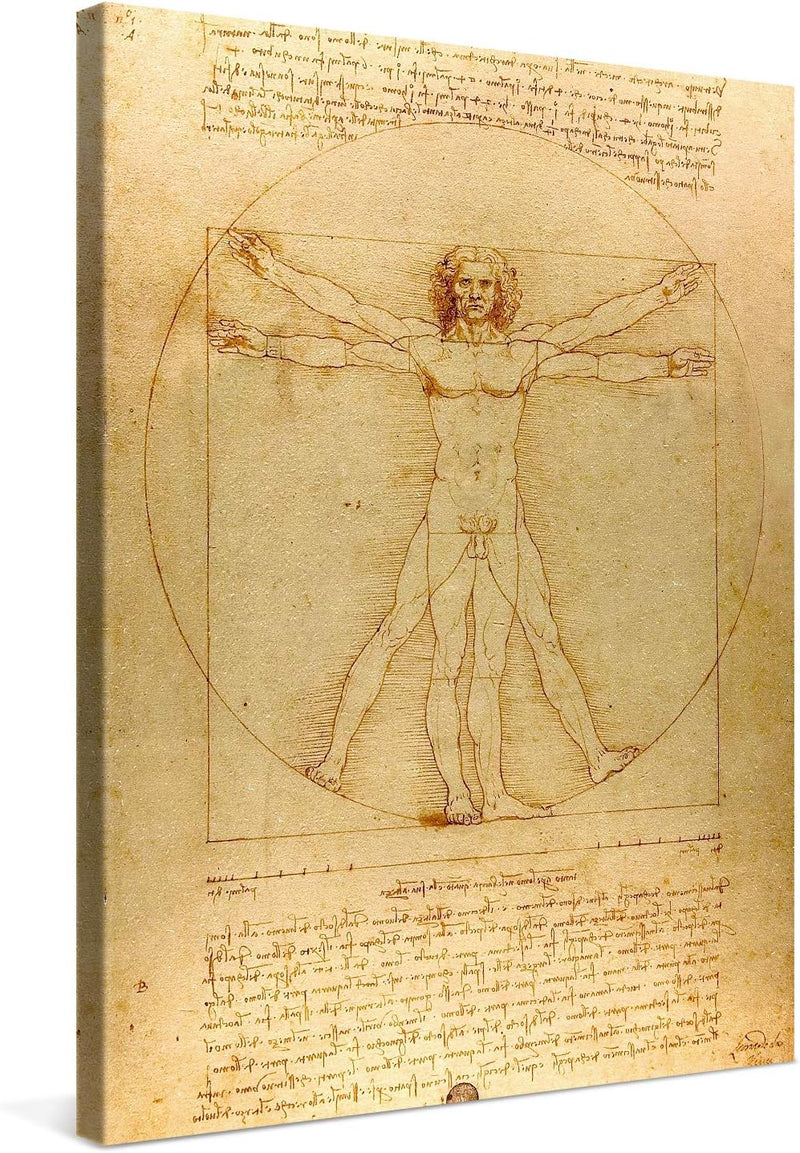 PICANOVA – Leonardo da Vinci – Vitruvian Man 60x80cm – Bild auf Leinwand – Premium Kunstdruck Auf 2c