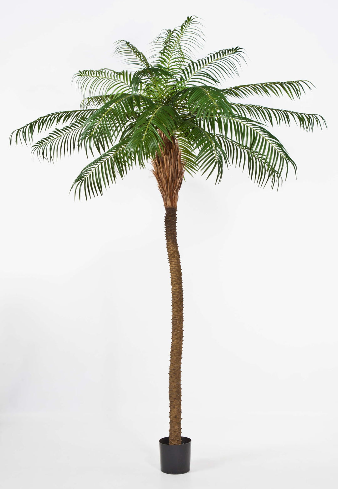 artplants.de Künstliche Phönixpalme, Deluxe, 225cm - hochwertige Kunstpalme - Künstliche Palme