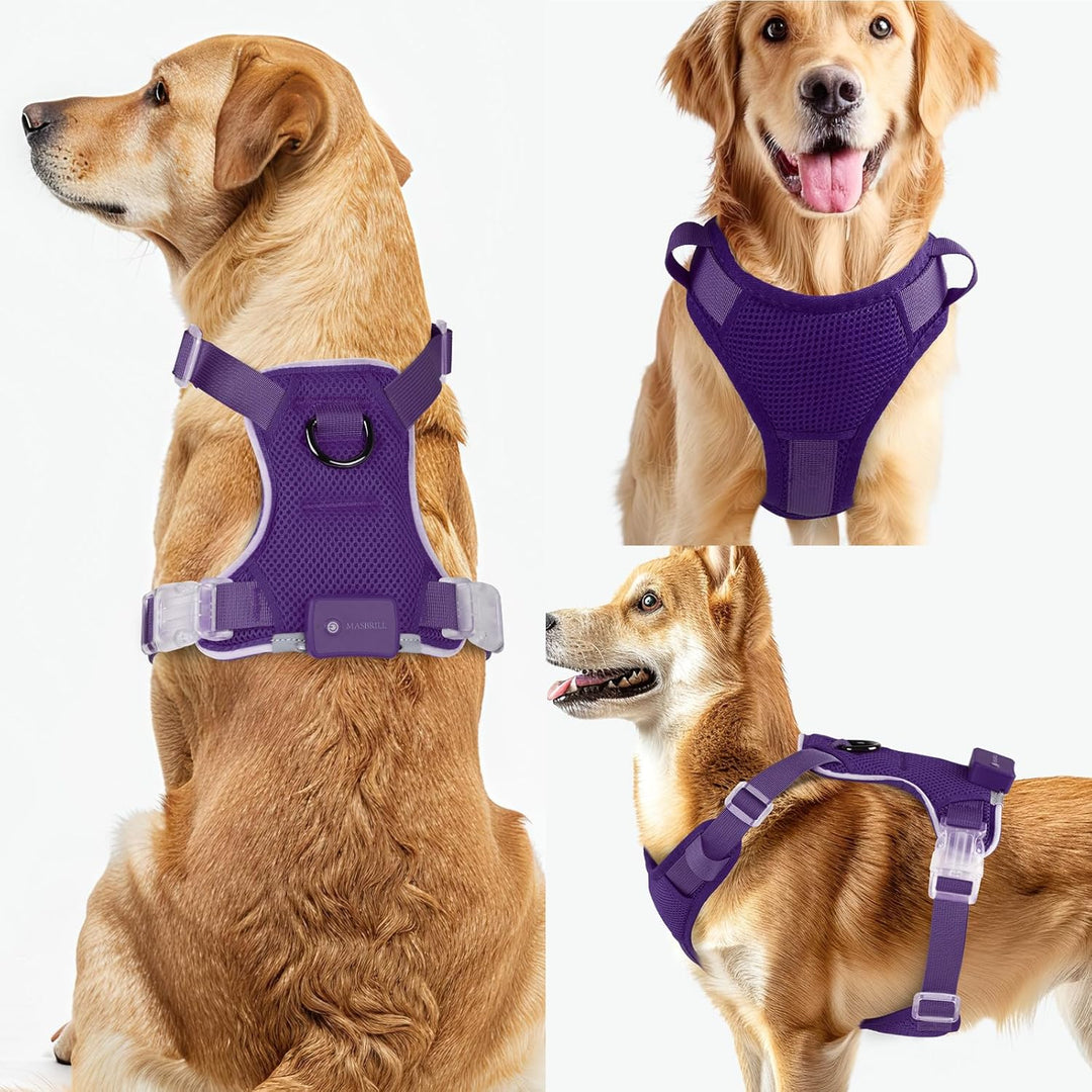 MASBRILL Hundegeschirr Leuchtend, LED Hundegeschirr Aufladbar & Einstellbar für Welpen Kleiner Mittl