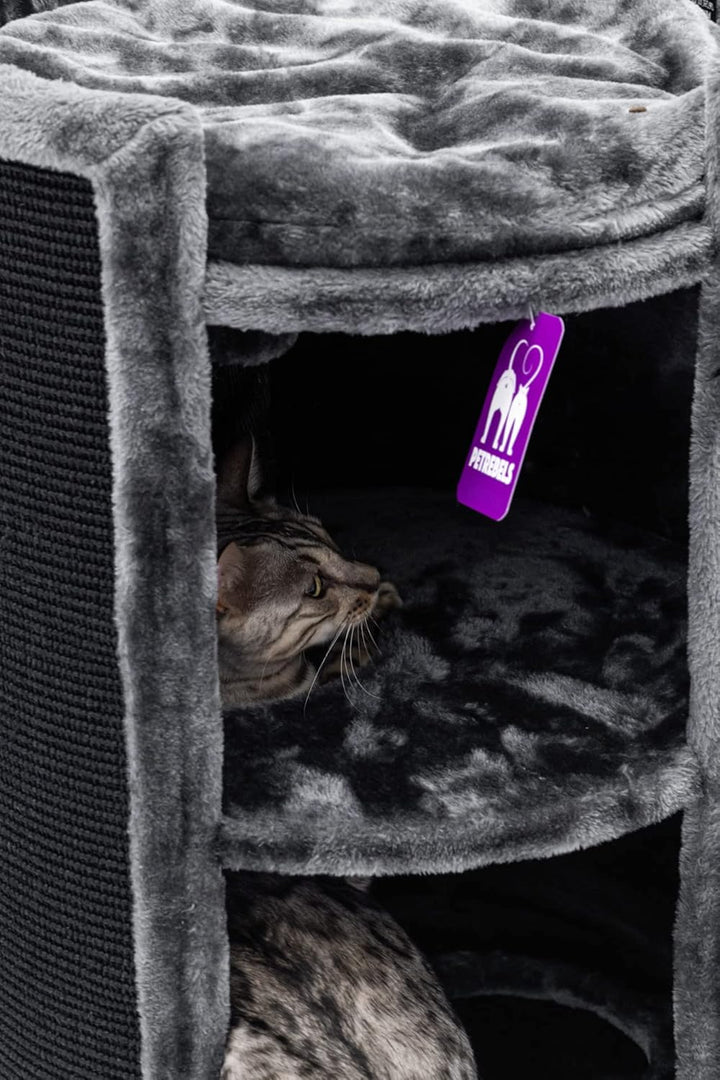 Petrebels Kratztonne XL Superdome 100 cm hoch, Ø 50 cm, Design Kratztonne für grosse Katzen, extra B