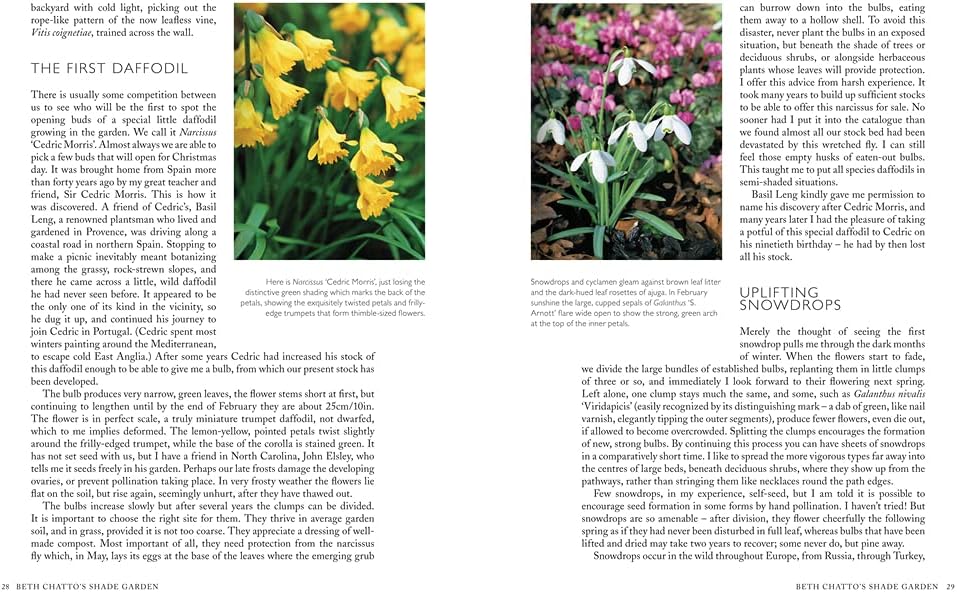 Pimpernel Press Beth Chatto's Shade Garden: Shade-Loving Plants for Year-Round Interest