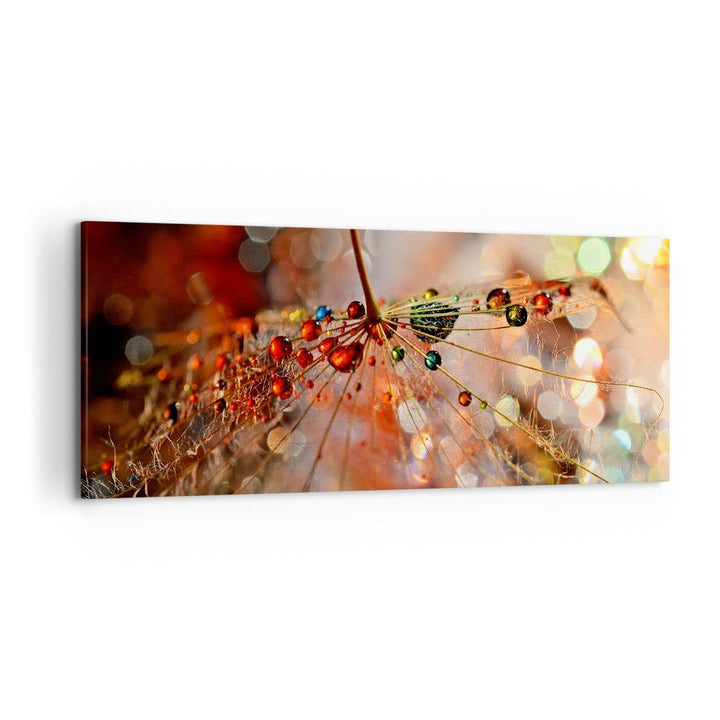 Wandbilder Dekoration Wohnzimmer Spinnennetz modern Panorama Bilder auf Leinwand 120x50cm Leinwandbi