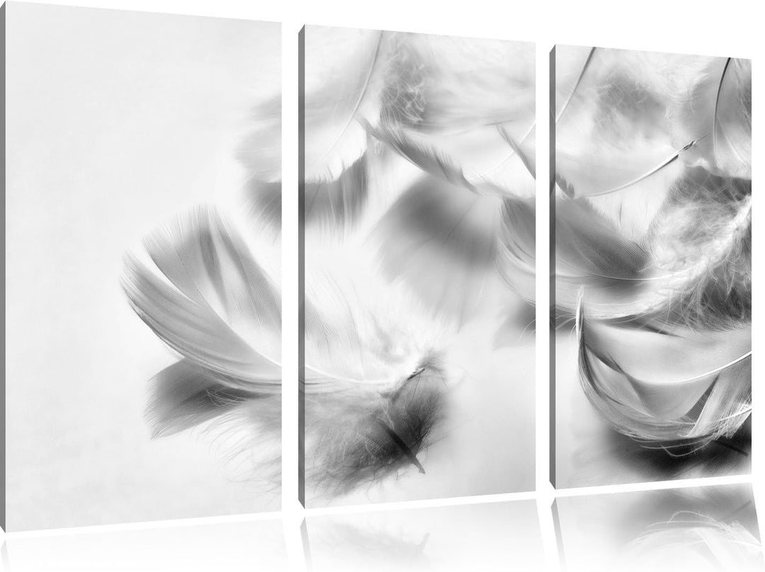 Pixxprint Weisse Feder auf schwarzem Stein als Leinwandbild/Grösse: 3 Teilig (120x80) cm/Wandbild/Ku