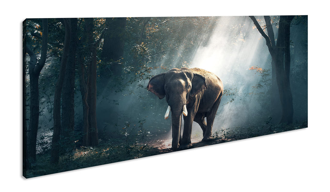 stolzer Elefant im Wald Panorama 120x60 cm als Leinwandbild, Motiv fertig gerahmt auf Echtholzrahmen