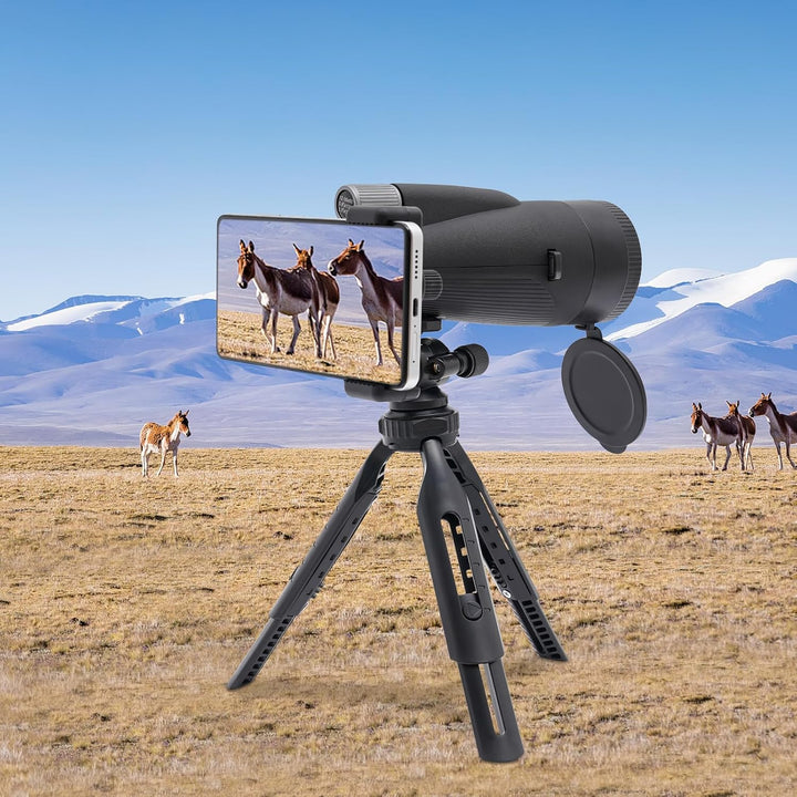 Spektiv Teleskop 12-36x60 Spotting Scope Vogelbeobachtung Spektiv Telescope mit Okularabdeckungen un
