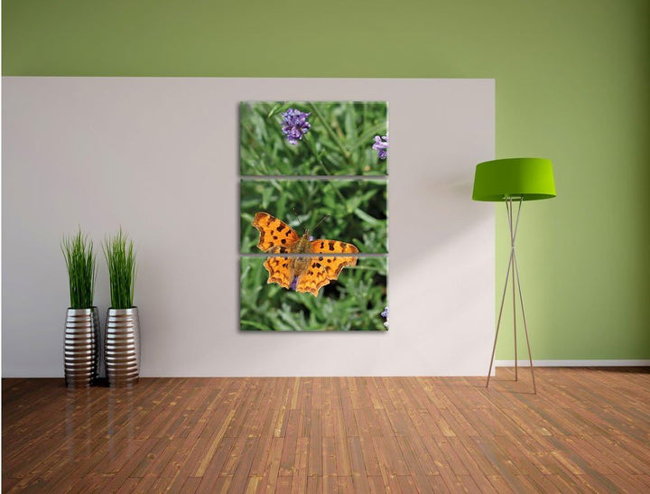 Pixxprint Schmetterling auf Blumenwiese / 3-Teilig/Gesamtmass 120cm Leinwandbild bespannt auf Holzra