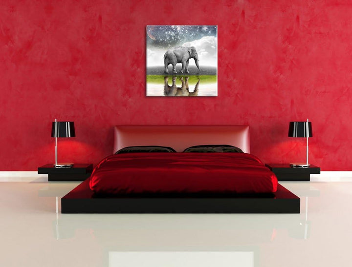 Pixxprint Traumhafter Elefant auf Wiese schwarz/weiss, Format: 70x70 auf Leinwand, 70x70