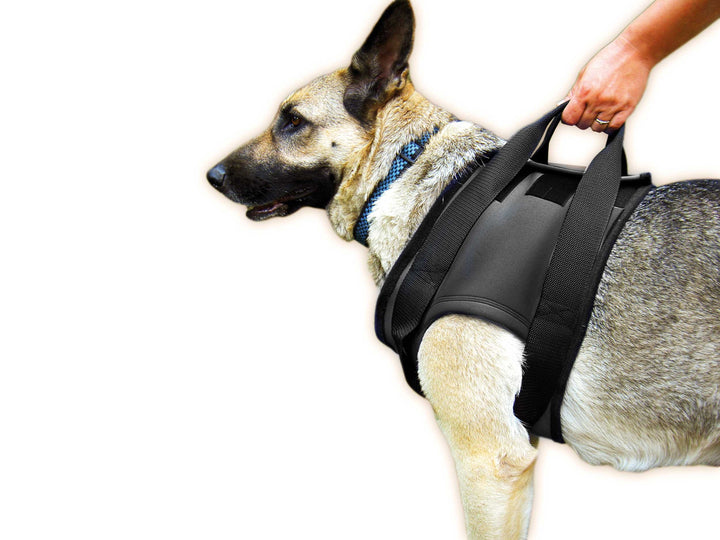 Julius-K9 16NEO-VS/L, Neopren Gehhilfegeschirr, Schulterbereich, Grösse: L, schwarz L Schulterbereic