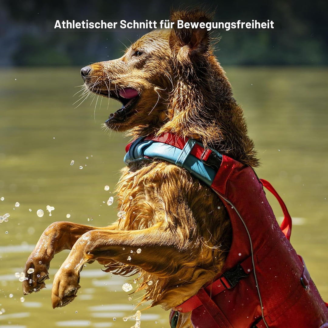 Kurgo Surf N Turf Hundeschwimmweste, Reissfestes Material, Mit Reflektoren und 2 Griffen ausgestatte
