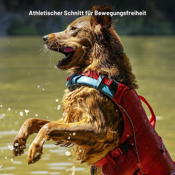 Kurgo Surf N Turf Hundeschwimmweste, Reissfestes Material, Mit Reflektoren und 2 Griffen ausgestatte