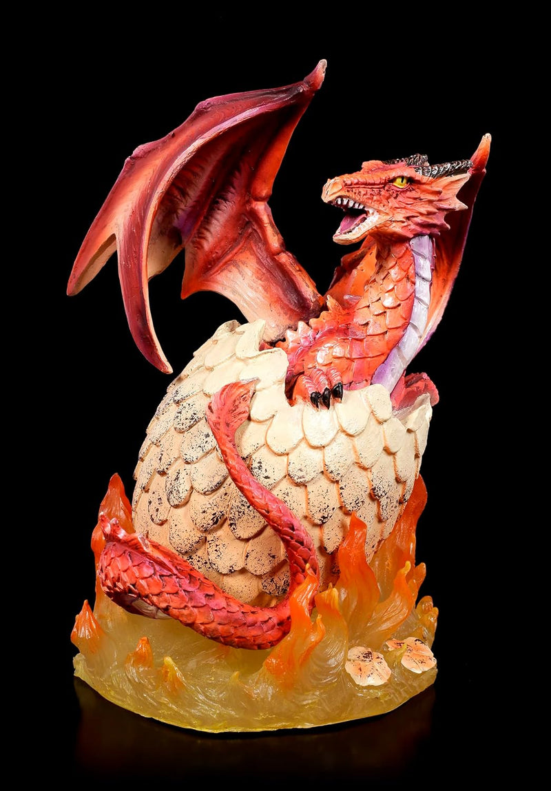 Drachen Figur Feuerdrache schlüpft aus Ei 20,5 cm | Fantasy Deko Statue