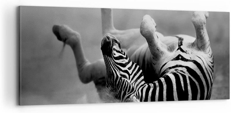 Panorama Bilder auf Leinwand 100x40cm Leinwandbild Zebra Streifen Tier wild Gross Wanddeko Bild Schl