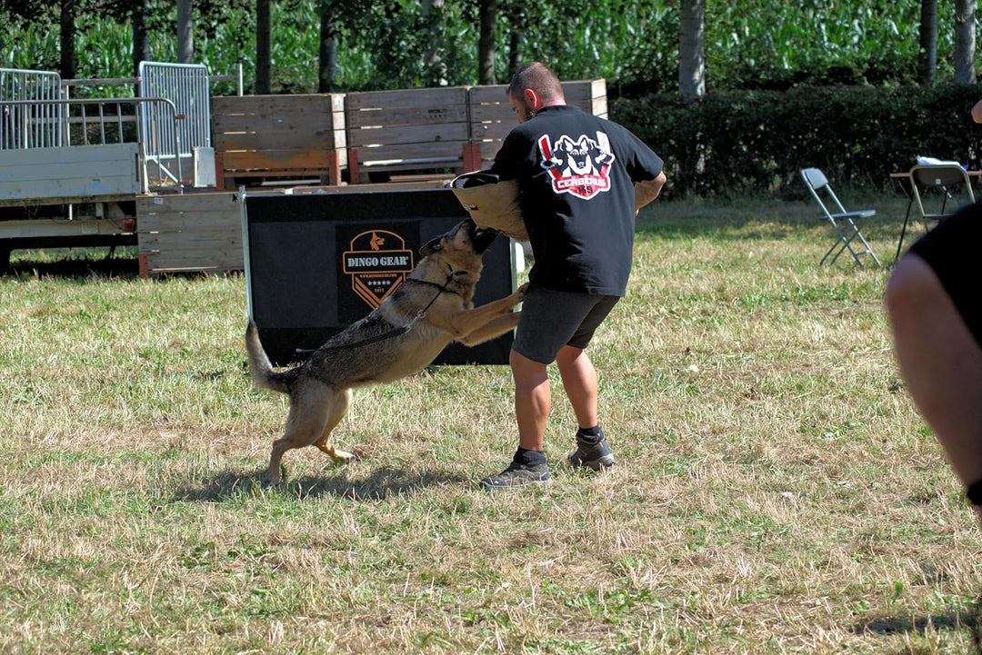 Dingo Gear Schutzarm Extern EXTRA Soft,Weich aus Jute Bissmanschette Hundeausbildung Hundetraining B