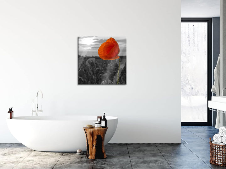 Pixxprint Glasbild | Wandbild auf Echtglas | Mohnfeld | 40x40 cm | inkl. Aufhängung und Abstandshalt