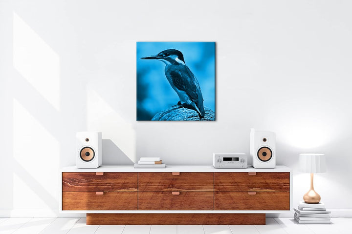 deyoli Eleganter Eisvogel mit blauem Gefieder Format: 70x70 Effekt: Monocrome Blau als Leinwandbild,