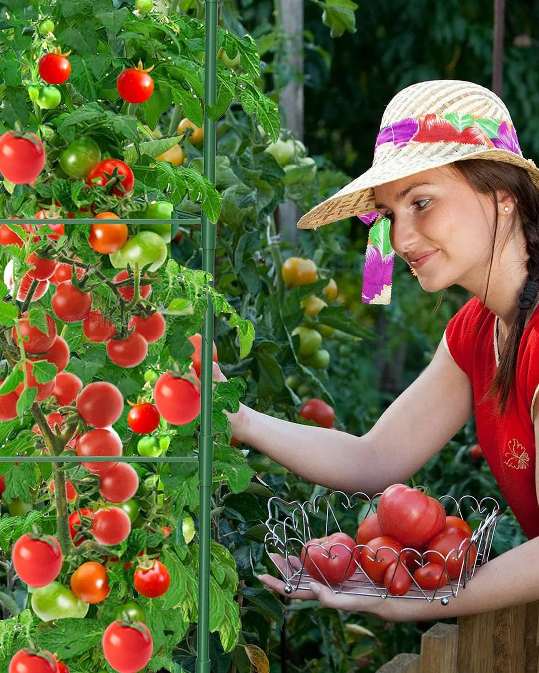 MYMULIKE Tomaten Rankhilfe 3 Stück, 130CM Pflanzenhalter für Tomate, Einstellbar Höhe Garten Rankhil