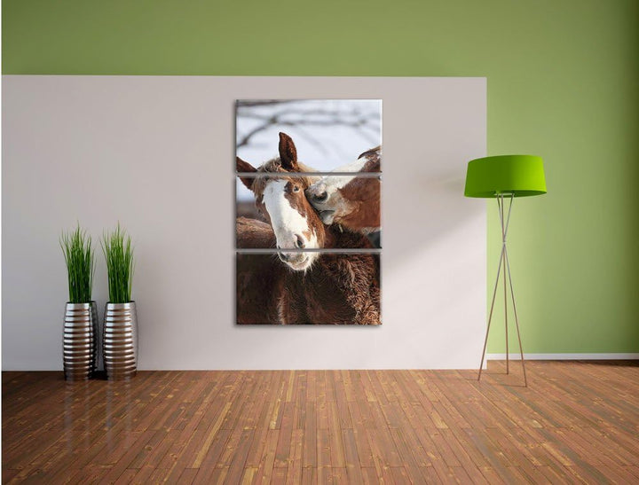 Pixxprint schmusende Pferde als Leinwandbild/Grösse: 3 Teilig (120x80) cm/Wandbild/Kunstdruck/fertig
