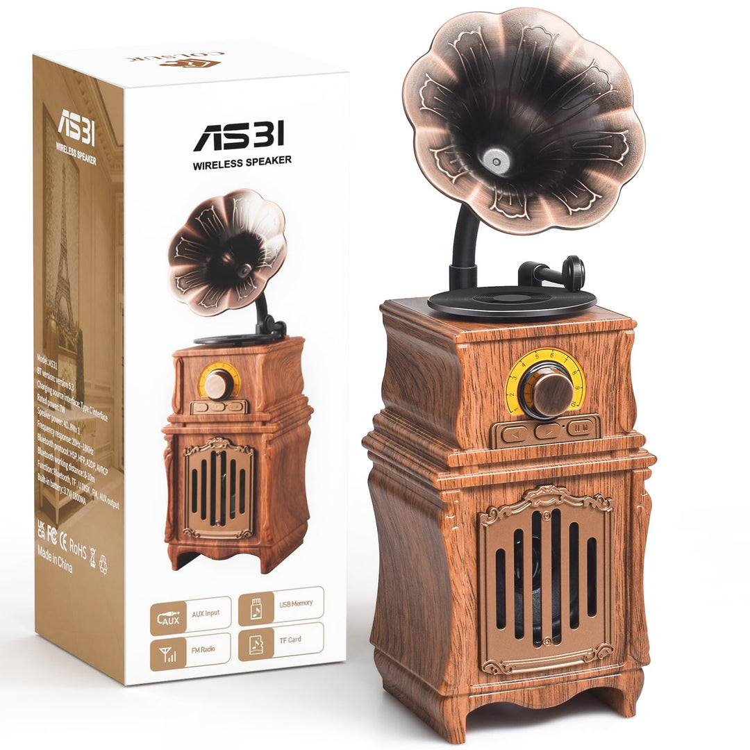 COLSUR Retro Radio Bluetooth 5.3 Lautsprecher Tragbarer Vintage Lautsprecher mit AM FM Radio Wiedera