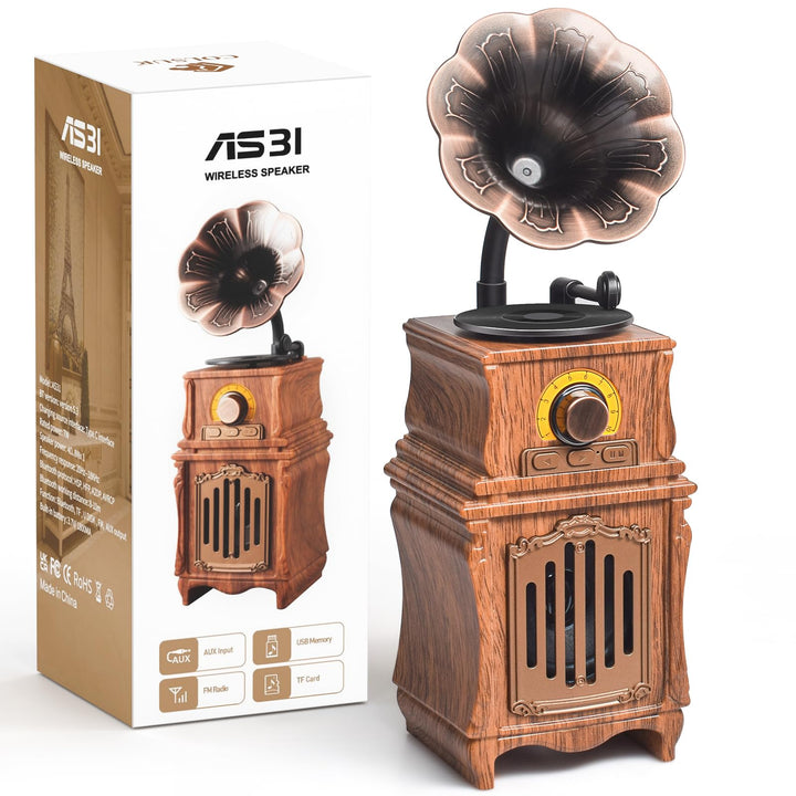 COLSUR Retro Radio Bluetooth 5.3 Lautsprecher Tragbarer Vintage Lautsprecher mit AM FM Radio Wiedera