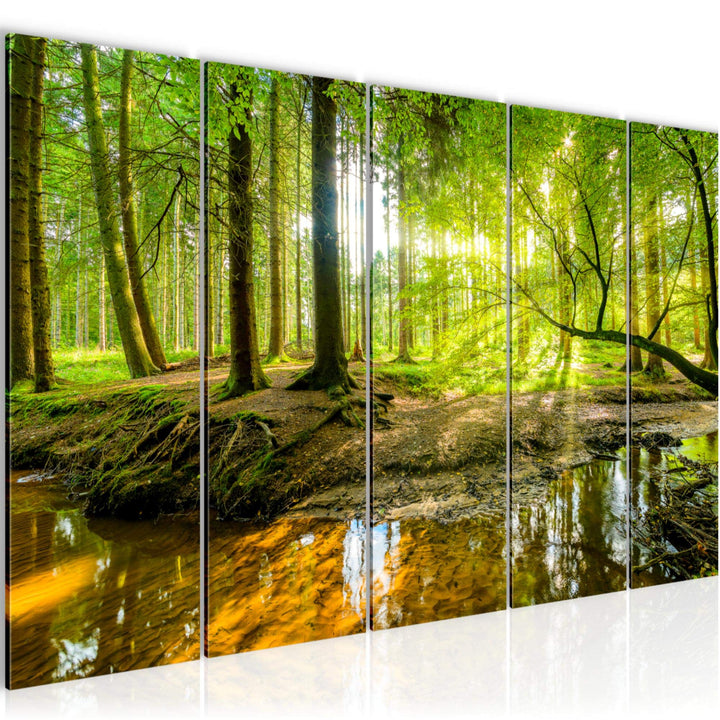 Runa Art Bild Wald Landschaft Wandbilder auf Vlies Leinwand 5 Teilig Wanddekoration Schlafzimmer Woh
