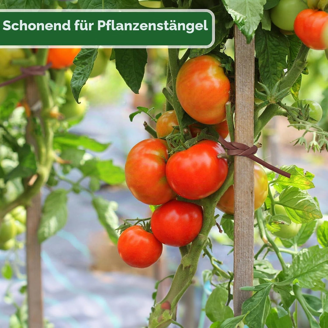 KINGLAKE Hohlschnur, Bindeschlauch 3mm x 100m, Pflanzenschnur Gartenschnur Wetterfest Reissfest, Pfl