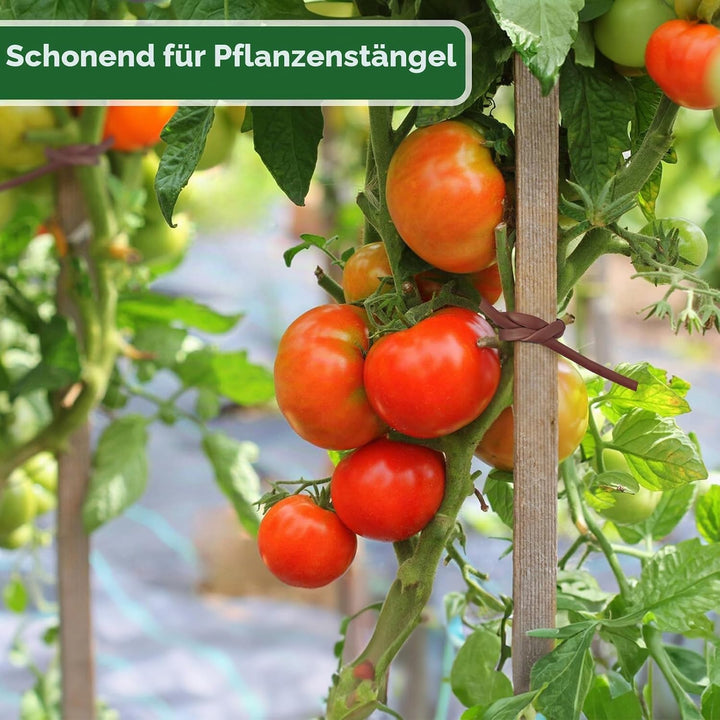 KINGLAKE Hohlschnur, Bindeschlauch 3mm x 100m, Pflanzenschnur Gartenschnur Wetterfest Reissfest, Pfl