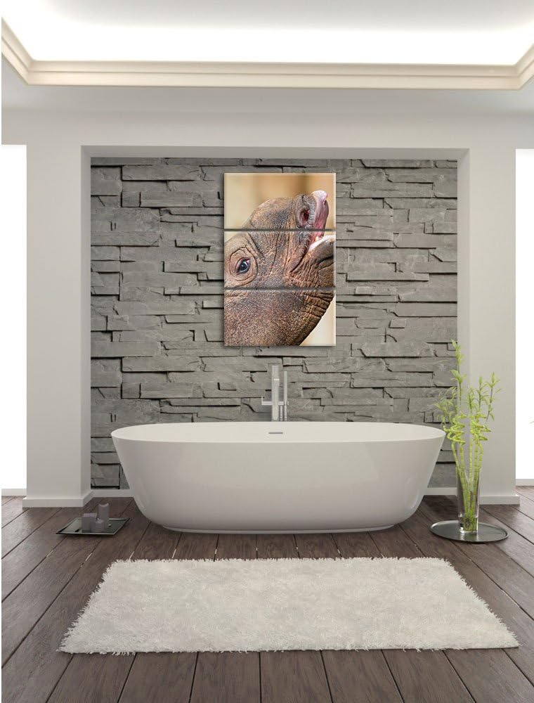 Nashorn 3-Teiler Leinwandbild 120x80 Bild auf Leinwand, XXL riesige Bilder fertig gerahmt mit Keilra