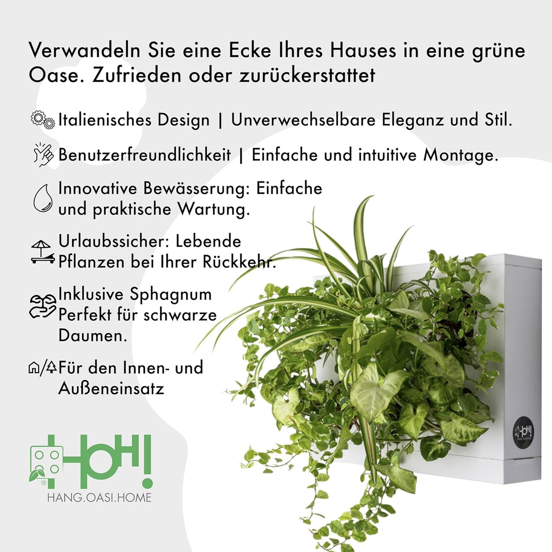Ortisgreen Hang Oasi Home Indoor Vertikaler Garten mit Costa Farms Live House Plant Collection Verti