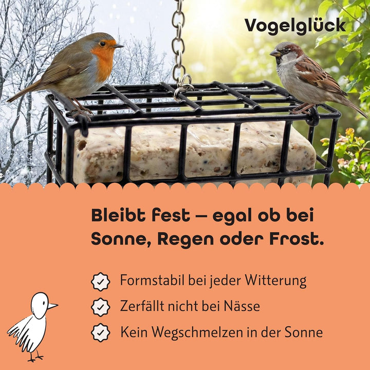 Vogelglück Vogel-Buffet 12 STK (Erdnuss), Erdnuss