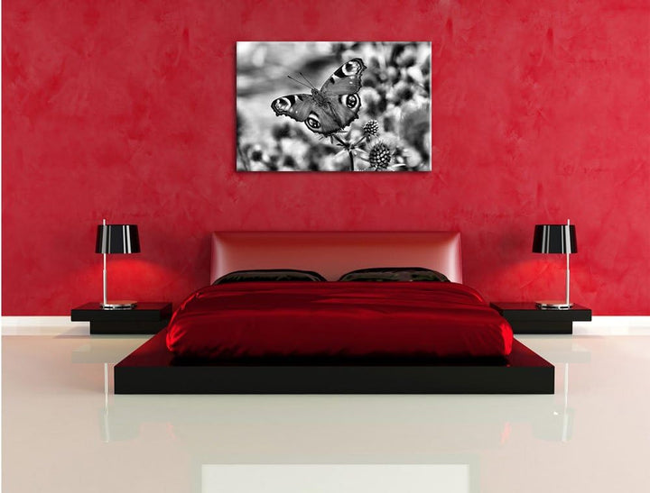 Pixxprint Monocrome, Schöner Schmetterling Pfauenauge, Format: 100x70 auf Leinwand, XXL riesige Bild