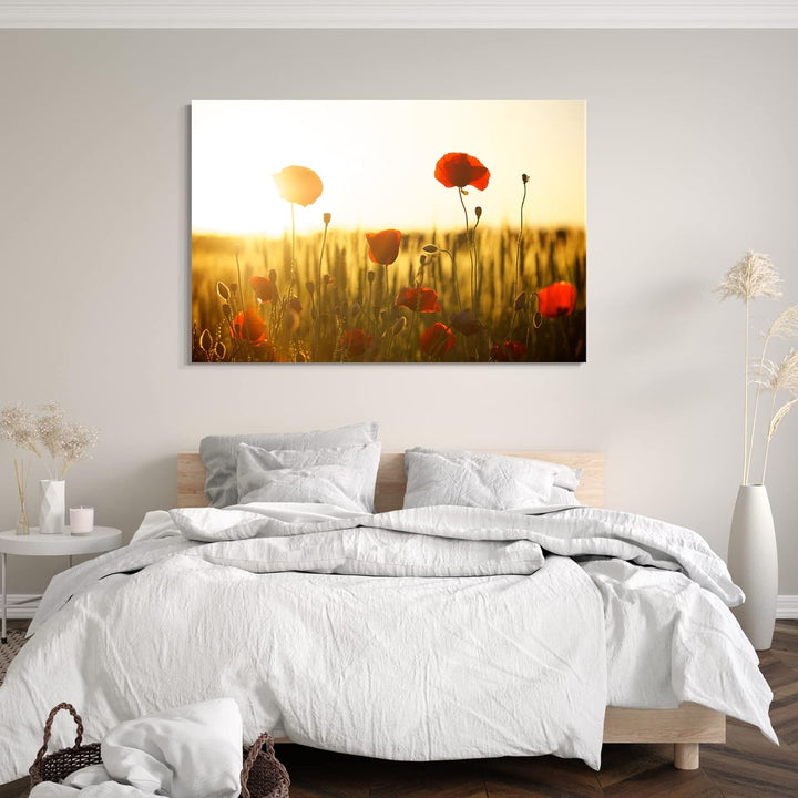 Printed Paintings Leinwand (80x60cm): Blumenbilder Blumenfotos Mohnblumen-Feld bei Sonnenaufgang 80x