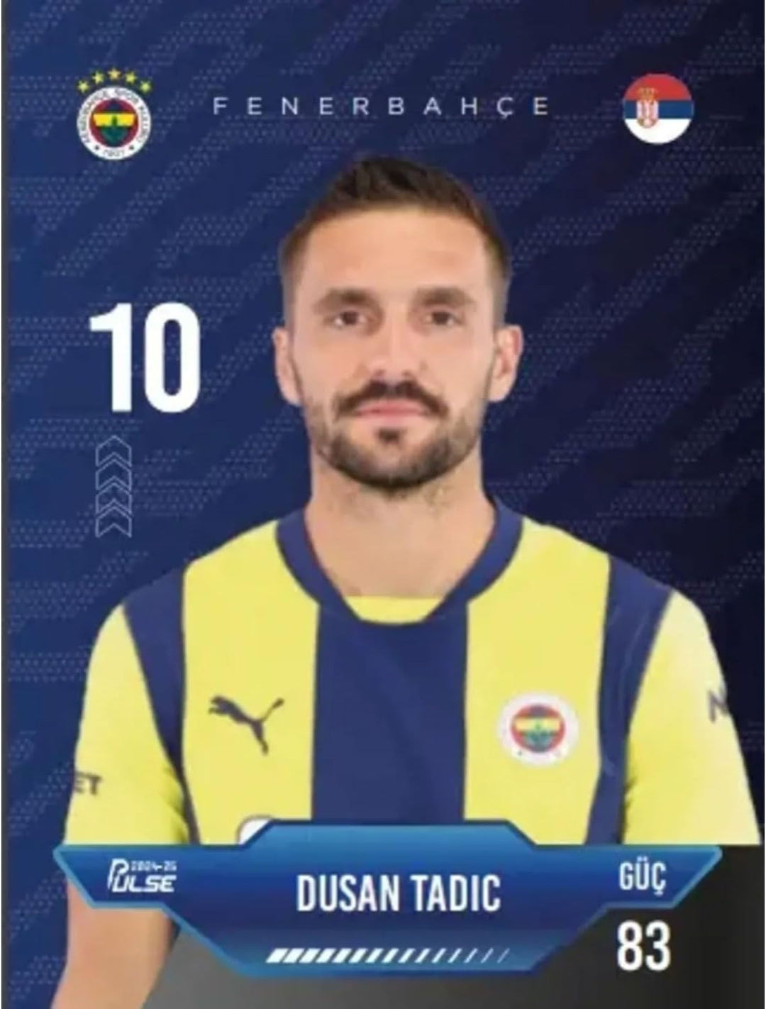 Fenerbahçe Pulse 2024/25 – 12 Fussballkarten mit Autogramm – Offizielles Lizenzprodukt – Limitierte