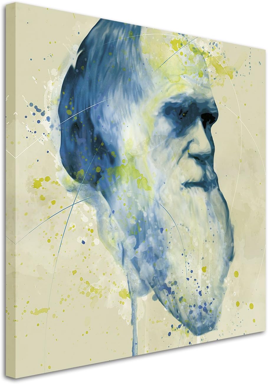 Charles Darwin Aqua 60x60cm - Splash Art Paul Sinus Wandbild auf Leinwand - Malerei, Kunstbild, Aqua