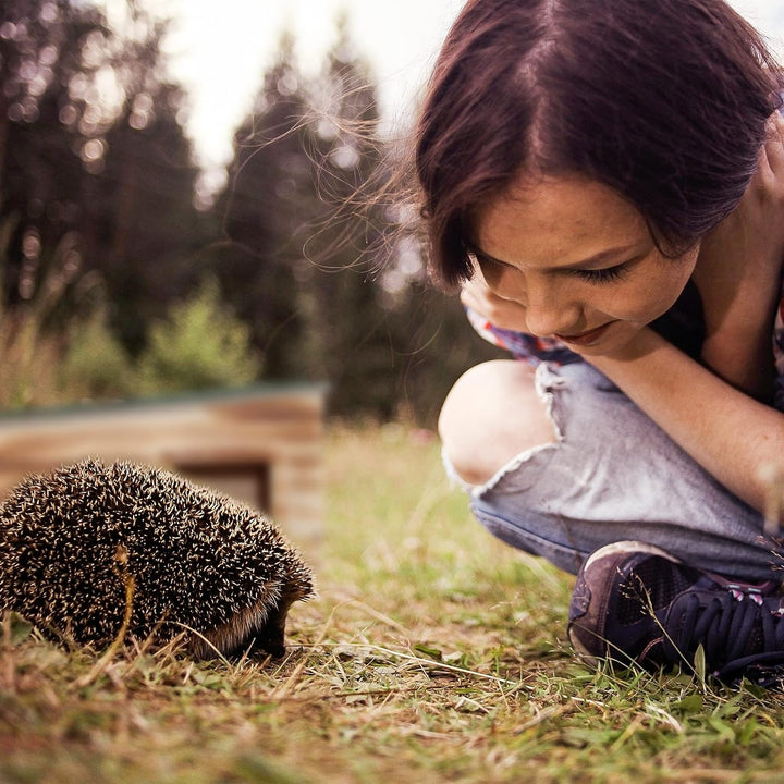 Relaxdays Igelhaus, geflammtes Holz, Igelhotel Boden, 2 Kammern, Winterquartier Igel, Garten, HBT 21