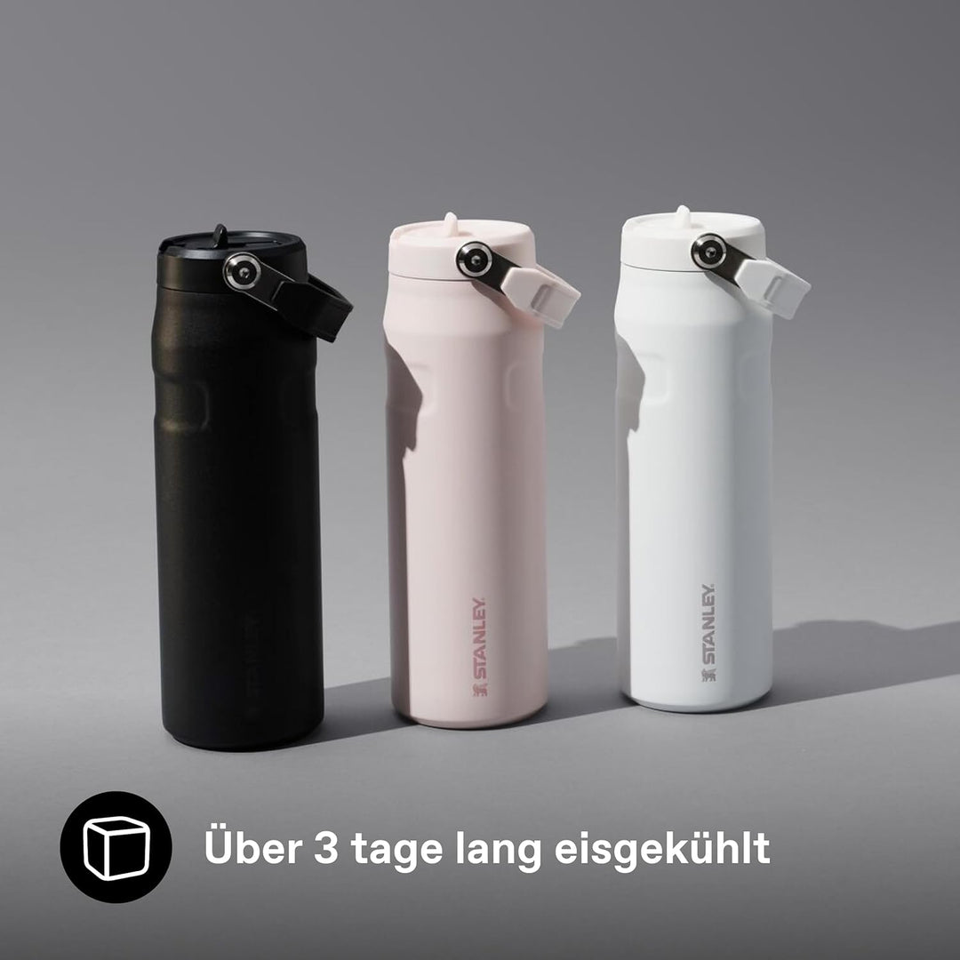 Stanley 1913 Flip Straw Trinkflasche mit Strohhalm 0.7L - Thermobecher Kühlt 10 Stunden - 3 Tage Eis