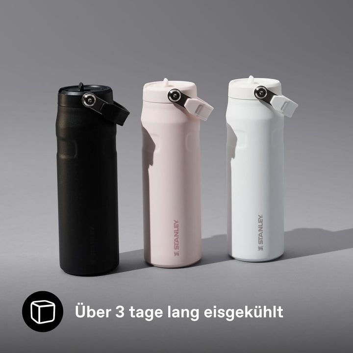 Stanley 1913 Flip Straw Trinkflasche mit Strohhalm 0.7L - Thermobecher Kühlt 10 Stunden - 3 Tage Eis
