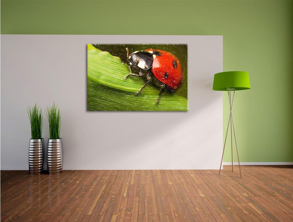 Pixxprint Marienkäfer in Detailaufnahme als Leinwandbild/Grösse: 100x70 / Wandbild/Kunstdruck/fertig