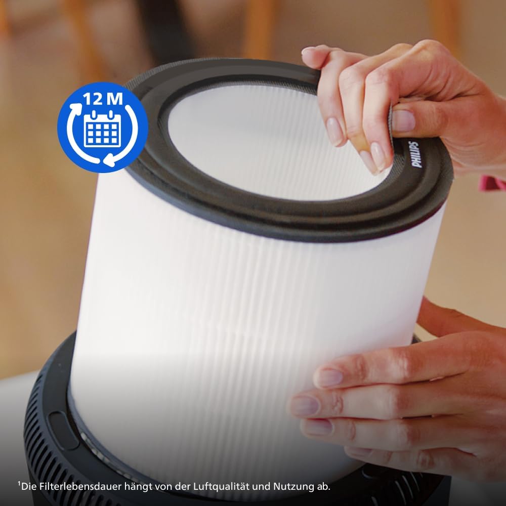 Philips Vervangend Luchtreinigingsfilter, Actieve Koolfilter &amp; Voorfilter, 12 Maanden levensduur, Co