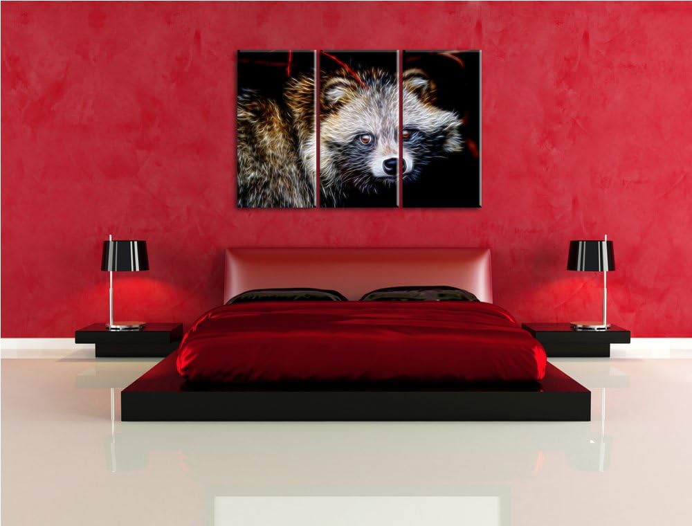 Dark scheuer Waschbär Spezial 3-Teiler Leinwandbild 120x80 Bild auf Leinwand, XXL riesige Bilder fer