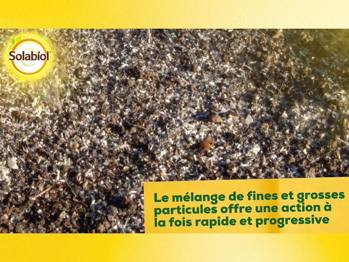 SBM SOLABIOL CORNE D Origine NATURELLE SEAU 4 KG SOCOR4