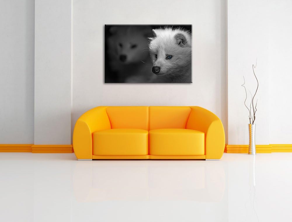 hübscher Polarfuchs in Höhle schwarz/weiss auf Leinwand, XXL riesige Bilder fertig gerahmt mit Keilr