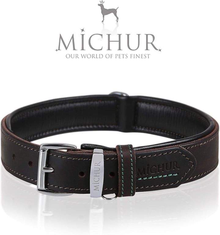 MICHUR Oleo Hundehalsband Leder, Lederhalsband Hund, Halsband, Braun, Leder, in verschiedenen Grösse