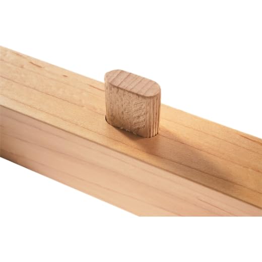FESTOOL 498218 DOMINO Buche D 14x100/80 BU Pack of 80, Pack of 80