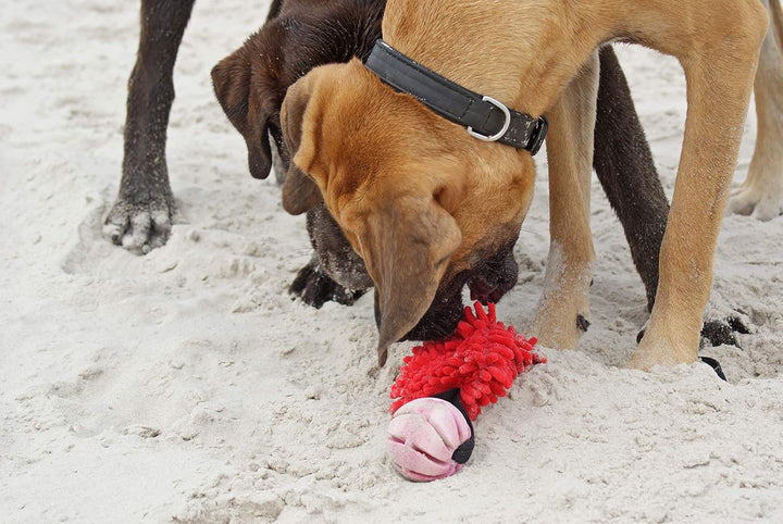 Dingo Mop Bungee Rot mit Vanille Duft Ball Hundespielzeug Agility Apporte 15588 Rot mit Bäll, Rot mi