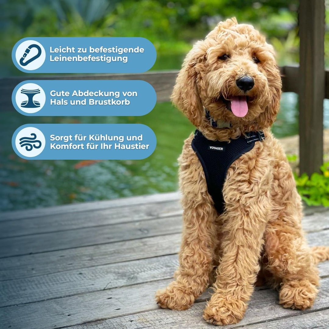 Best Pet Supplies Voyager Hundegeschirr mit reflektierenden 3M-Paspeln, vollständig verstellbar, Grö