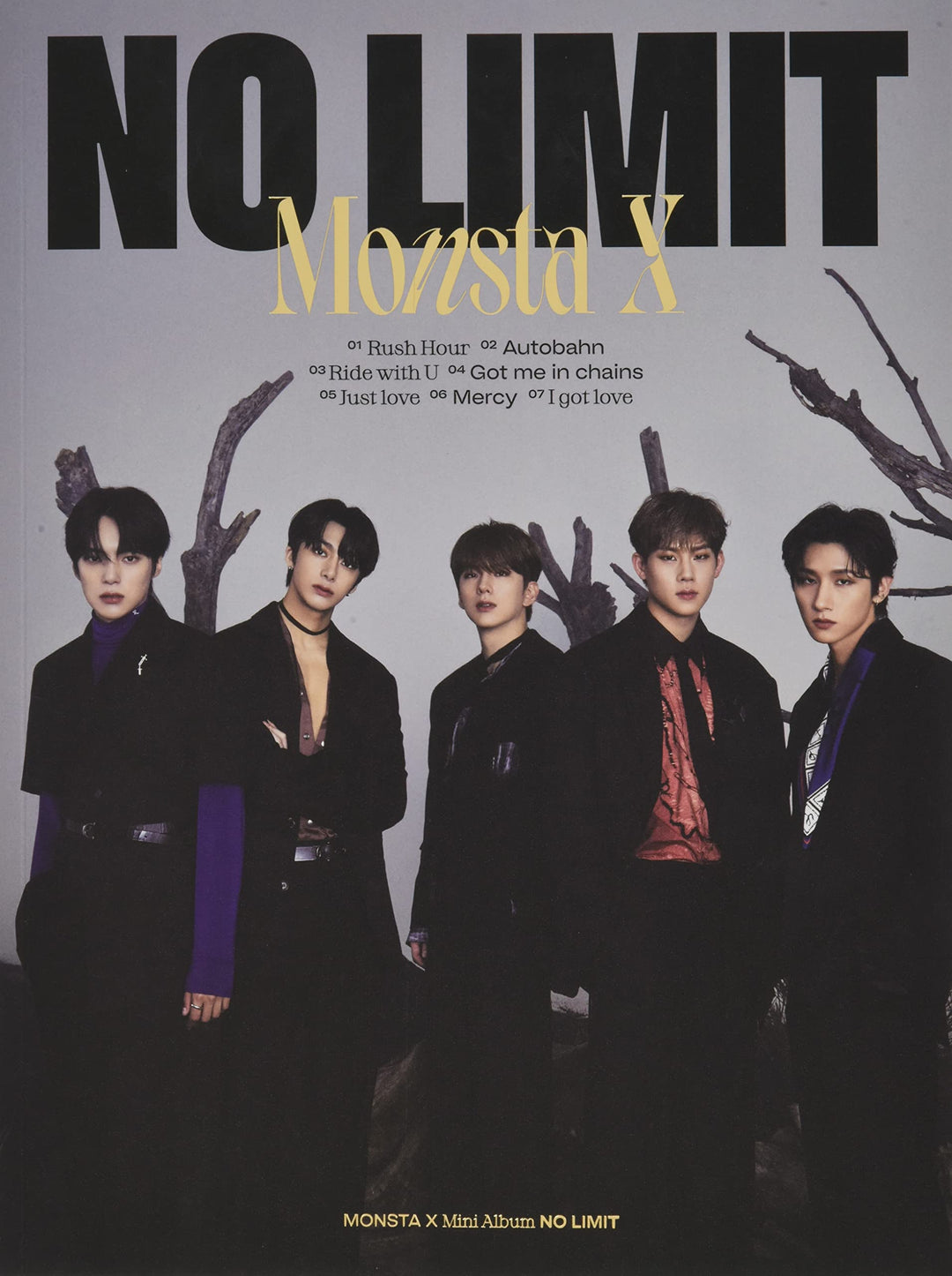 No Limit Inkl.Photobook, Audio-CD