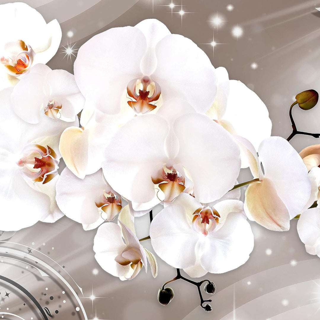 Runa Art Wandbilder Blumen Orchidee 5 Teilig Bild auf Vlies Leinwand Deko Wohnzimmer Abstrakt Beige